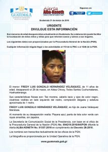 Boletín Alba-Keneth
