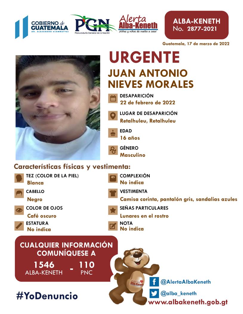 Boletín Alba-Keneth