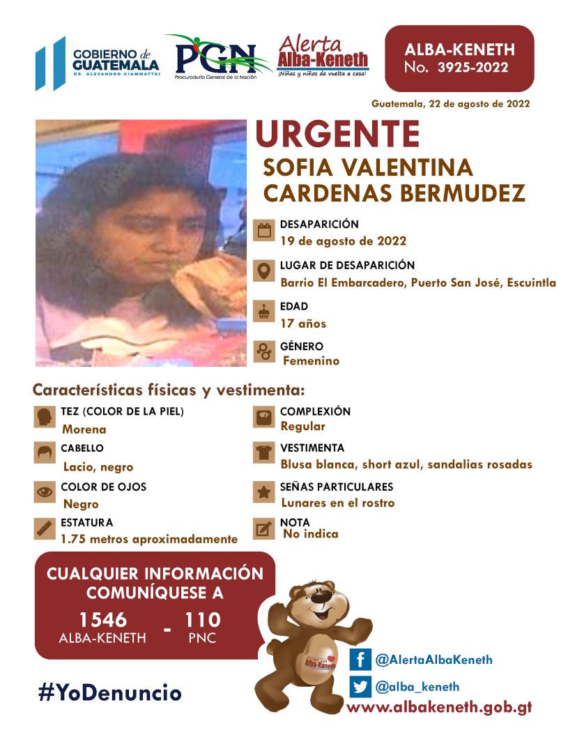 Boletín Alba-Keneth