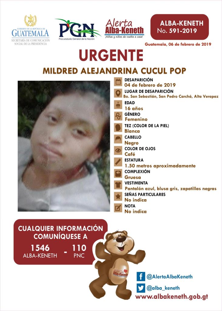Boletín Alba-Keneth