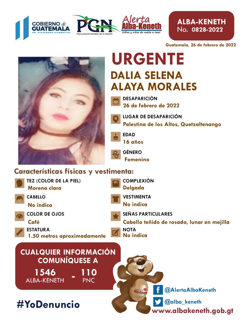 Boletín Alba-Keneth